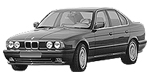 BMW E34 C255E Fault Code
